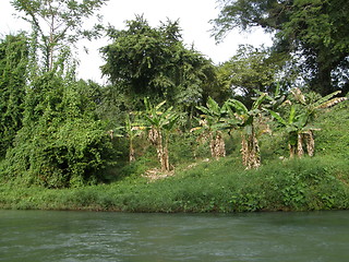 Image showing Martha Brae River