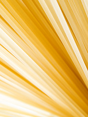 Image showing Pasta closeup background.