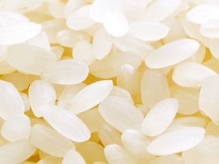 Image showing Rice.