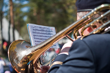 Image showing Musician