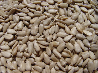 Image showing sunflower seeds