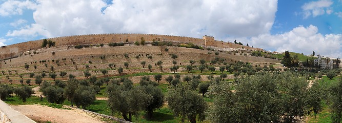 Image showing Panorama of Kidron Valley and the Temple Mount in Jerusalem