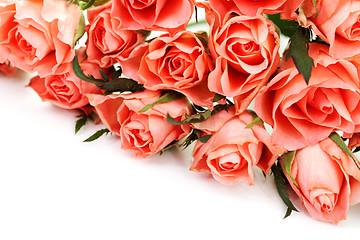 Image showing pink roses