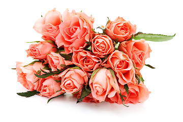 Image showing pink roses