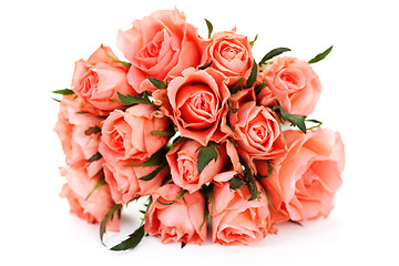 Image showing pink roses