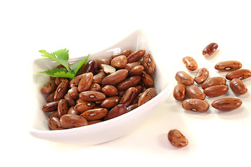 Image showing Pinto beans