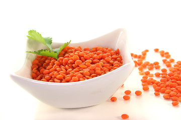 Image showing red lentils