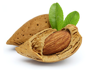 Image showing Cut almond with leaves