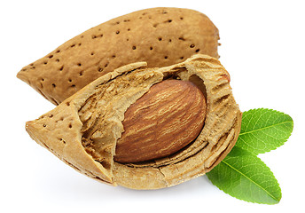 Image showing Two almonds with leaves