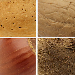 Image showing Nuts texture