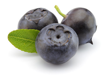 Image showing Blueberry with leaves