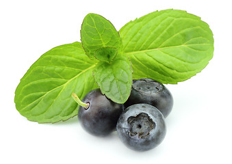 Image showing Blueberry with mint