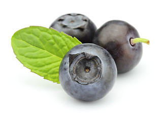 Image showing Blueberry with mint