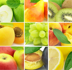 Image showing Collage from fresh fruit