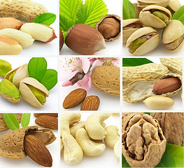 Image showing Collage from tasty nuts