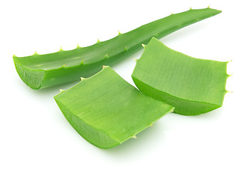 Image showing Aloe vera