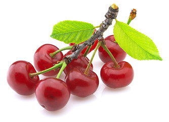 Image showing Sweet cherry 