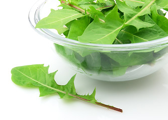 Image showing Dandelions salad