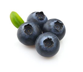 Image showing Blueberry in closeup
