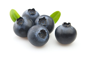 Image showing Blueberry with leaves