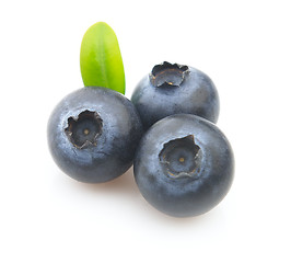 Image showing Fresh blueberry