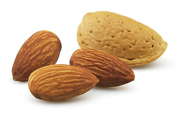 Image showing Dried almonds