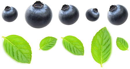 Image showing Blueberry with leaves of mint