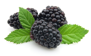 Image showing Blackberry 