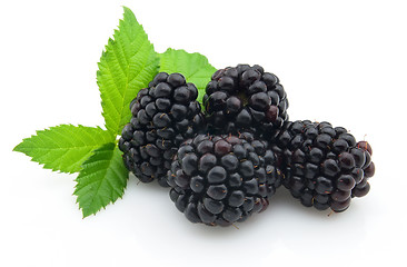 Image showing Blackberry with leaves