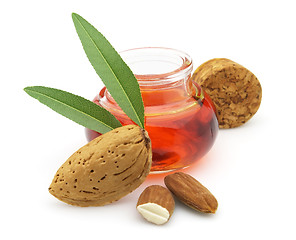 Image showing Fresh almonds oil