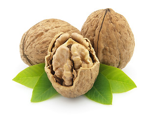 Image showing Walnuts with leaves