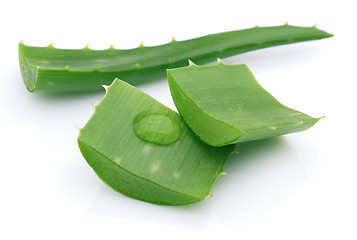 Image showing Aloe