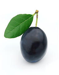 Image showing Ripe plum