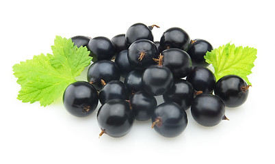 Image showing Blackcurrant with leaves