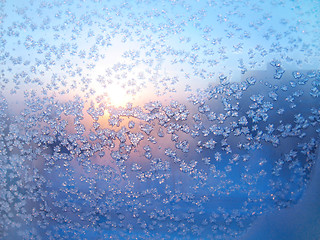 Image showing frost and sun