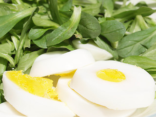 Image showing Salad detail