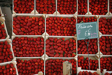 Image showing Delicious strawberries in April