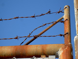 Image showing Barbed wire