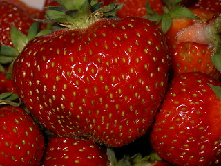 Image showing Strawberry