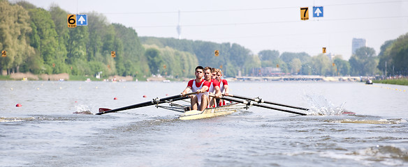 Image showing Rowing Regatta