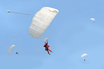 Image showing Parachute Tandem Jump