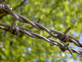 Image showing Barbed wire