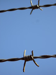 Image showing Barbed wire