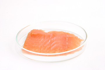 Image showing smoked salmon in a petri dish