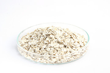 Image showing Rolled oats in a petri dish