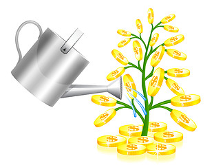 Image showing Money tree