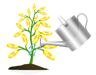 Image showing Money tree 