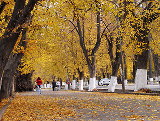 Image showing Autumn city street