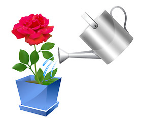 Image showing Realistic watering can with rose illustration 