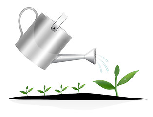 Image showing Young plant with watering can